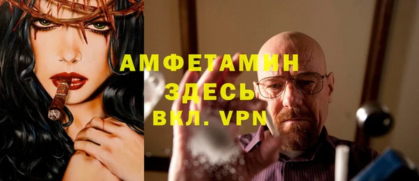 сатива Кинешма
