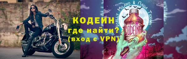 сатива Кинешма