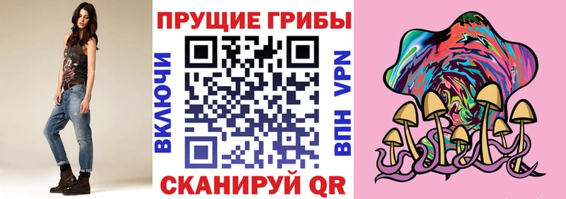 Галлюциногенные грибы Psilocybine cubensis  Купить закладки  Дмитровск 